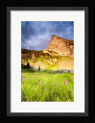 Framed Music Summer Print