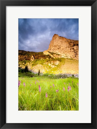 Framed Music Summer Print