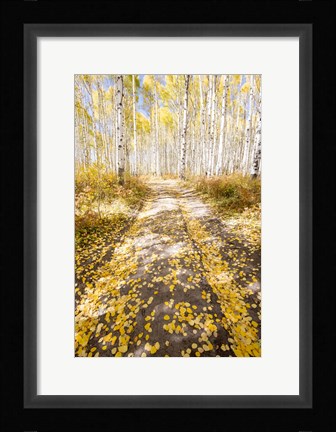 Framed Road To Fall Print