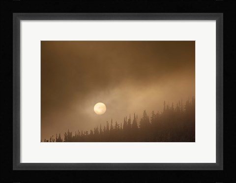 Framed Wild Moon II Print