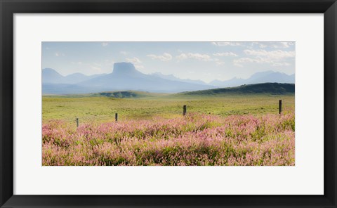 Framed Alone the Way Print