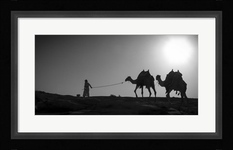Framed Camel Trip, Jordan Print