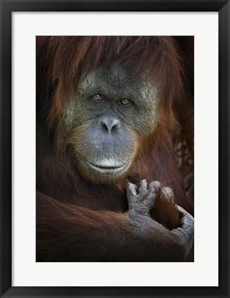 Framed Emotion Print