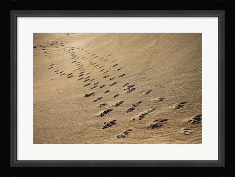 Framed Crossing Paths Print