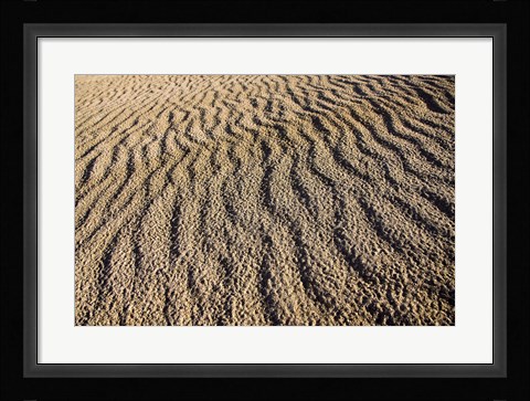 Framed Canunda National Park Print