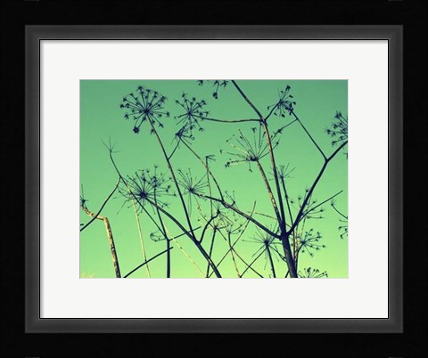 Framed Cow Parsley I Print