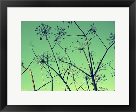 Framed Cow Parsley I Print