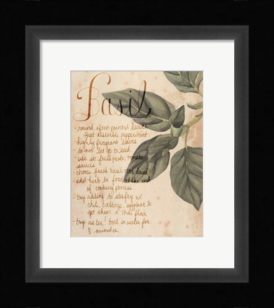 Framed Herb Study I Print