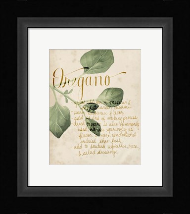 Framed Herb Study III Print