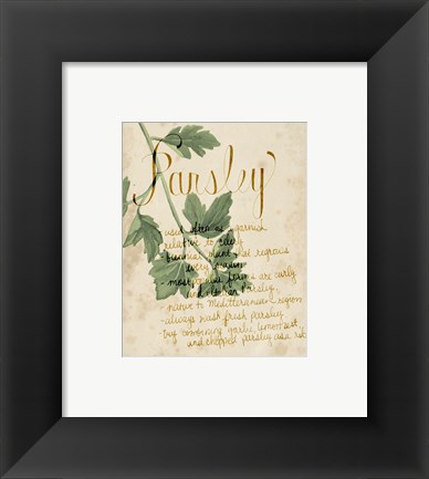 Framed Herb Study V Print