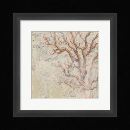 Framed Coastal Cameo VI Print