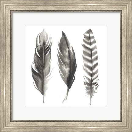 Framed Watercolor Feathers I Print