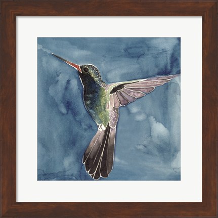 Framed Watercolor Hummingbird II Print