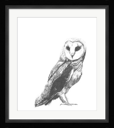 Framed Wildlife Snapshot: Owl Print
