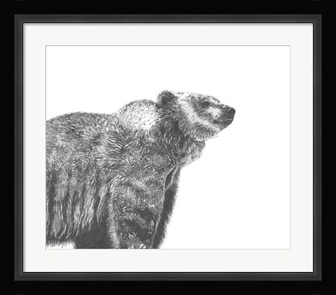 Framed Wildlife Snapshot: Grizzly Print