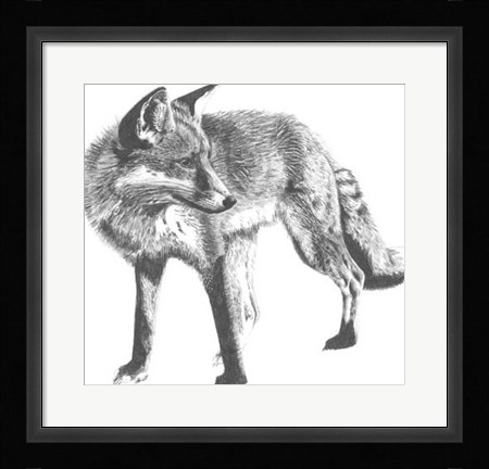 Framed Wildlife Snapshot: Fox Print