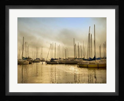 Framed Morning Fog Print