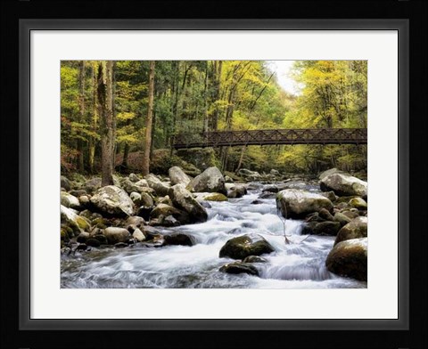 Framed Bridging the Seasons Print