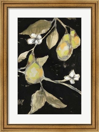 Framed Fresh Pears II Print