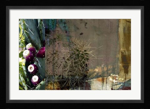 Framed Texas Cactus Collage Print