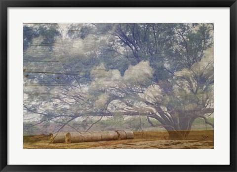 Framed Texas Tree Collage Print