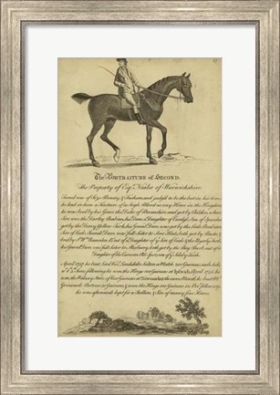 Framed Horse Portraiture V Print