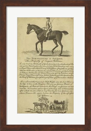 Framed Horse Portraiture VI Print
