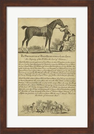 Framed Horse Portraiture VII Print