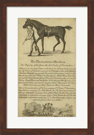 Framed Horse Portraiture VIII Print
