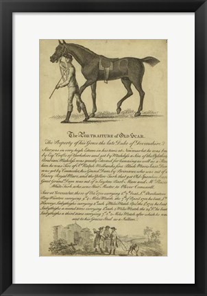 Framed Horse Portraiture VIII Print