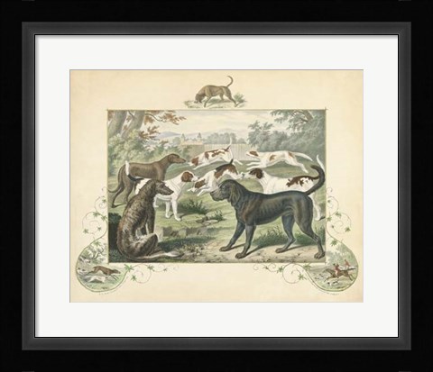 Framed Group of Hounds Print