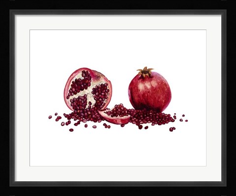 Framed Watercolor Pomegranate Print