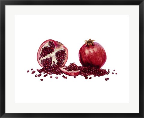 Framed Watercolor Pomegranate Print
