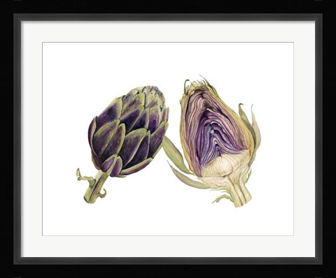 Framed Watercolor Artichoke Print