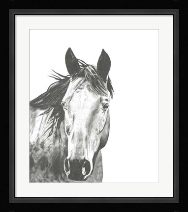 Framed Wildlife Snapshot: Horse I Print