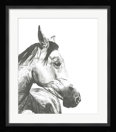 Framed Wildlife Snapshot: Horse II Print