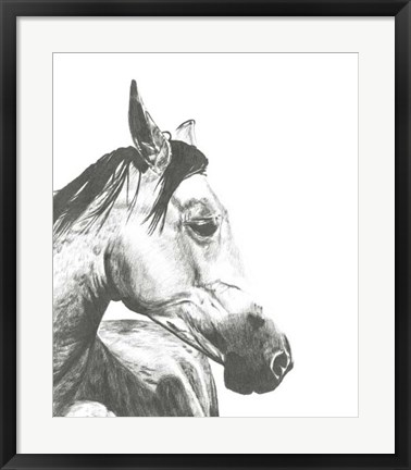 Framed Wildlife Snapshot: Horse II Print
