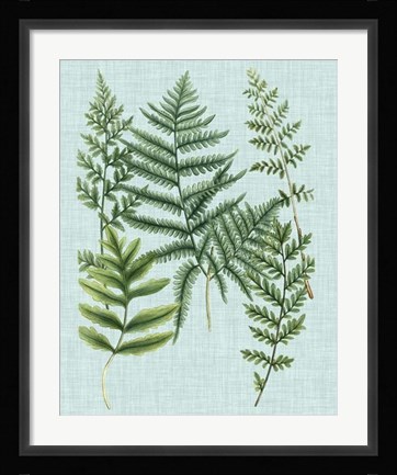 Framed Spa Ferns I Print