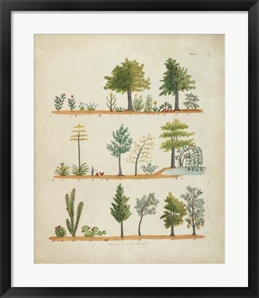 Framed Arbor Sampler II Print
