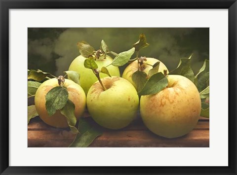 Framed Jill&#39;s Green Apples II Print