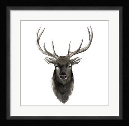 Framed Western Animal Study V Print