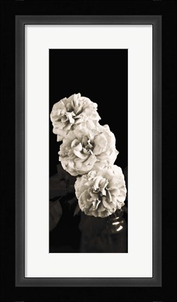 Framed Roses Print