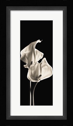 Framed Lillies1 Print