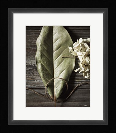 Framed Leaf Print