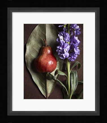 Framed Leaf with Pear 2 Print