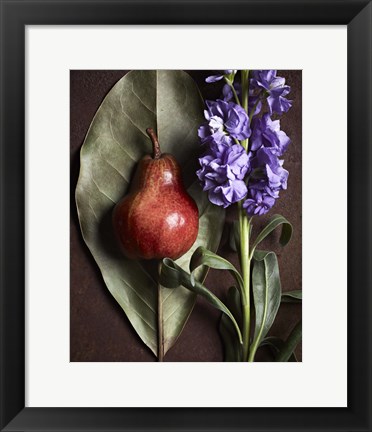 Framed Leaf with Pear 2 Print