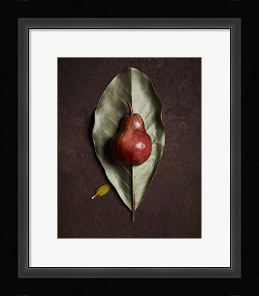 Framed Leaf and Pear 4 Print