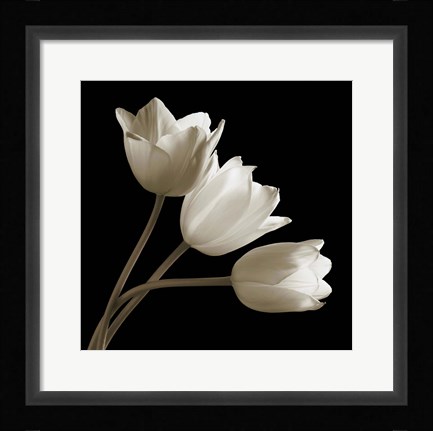 Framed Tulips Print