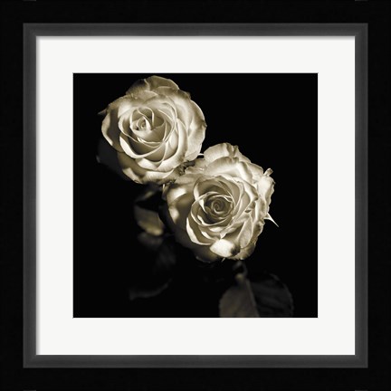 Framed Circus Roses Print