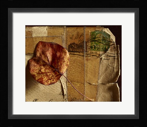 Framed Leaf Envelope Print
